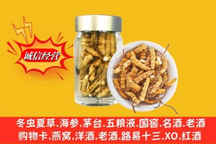 渭南市澄城回收散虫草