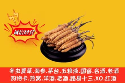 渭南市澄城名酒回收冬虫夏草.jpg